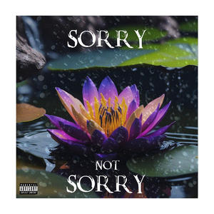 Sorry not Sorry (Explicit)