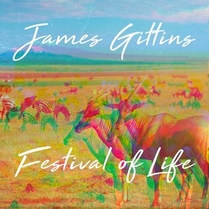 James Gittins - Festival of Life (Austin Leeds Remix - Full Edit)