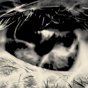 superheroes (Explicit)