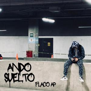 Ando Suelto (feat. fhernando ac & Alan Mx) [Explicit]