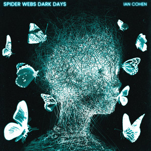 Spider Webs Dark Days