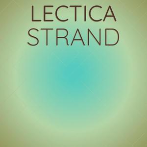 Lectica Strand