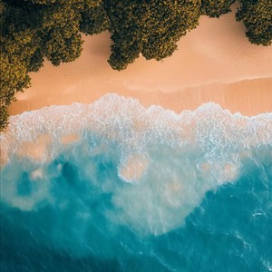 Magic DJ - Carry It(Vocal)