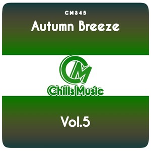 Do What You Do (Nikulcha Remix)