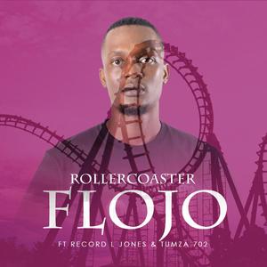 Rollercoaster (feat. Record L Jones & Tumza 702)