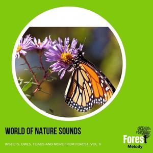 Soft Sounds of the Wind and Leaves