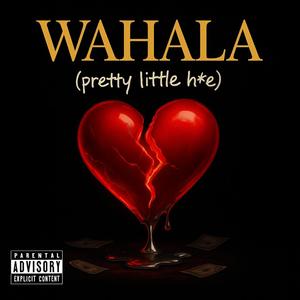 Wahala (Pretty Little Hoe) (feat. Young $hawn) (Explicit)