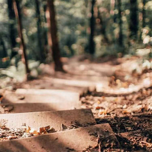 与我无关-马思诺