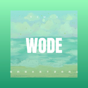 花海情缘 (DJ版)