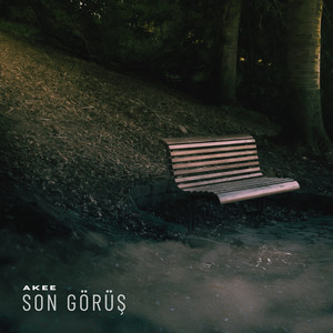 Son Görüş