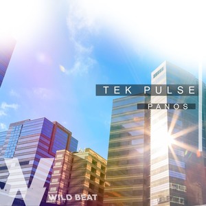 Tek Pulse