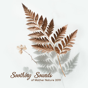 Soothing Sounds of Mother Nature 2019