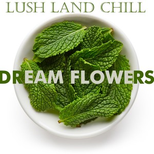 Lush Land : Dream Flowers