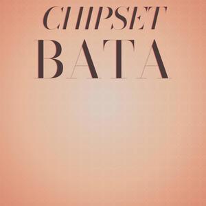 Chipset Bata