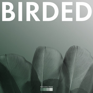 Birded