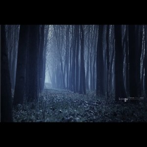 That Girl With Dark Eyes-That Girl降落伞 (WOLF / P.D remix)