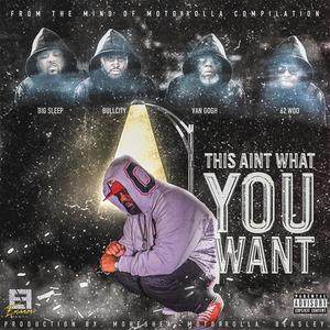 This Ain't What You Want (feat. Van Gogh, 62Woo, BigSleep Da Tyte Eyed Playa & BullCity OulBoy) (Explicit)