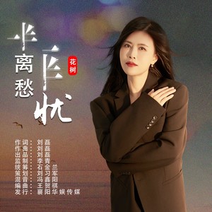 一半离愁一半忧 (DJ默涵版)