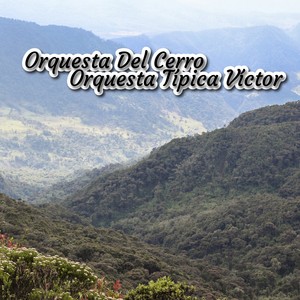 Orquesta del Cerro Orquesta Típica Víctor (Tango)