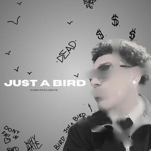 Just a Bird