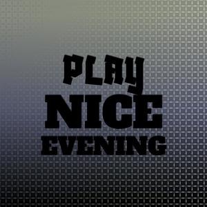 Play Nice Evening