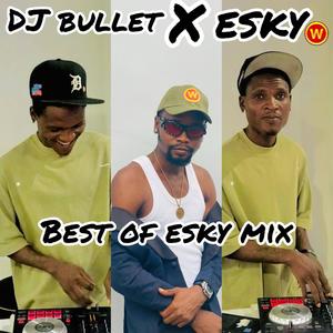BEST OF ESKY (feat. DJ BULLET)