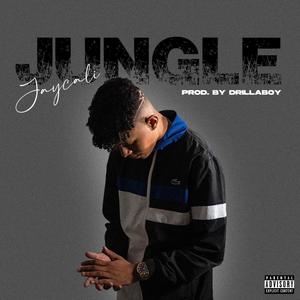 Jungle (Explicit)