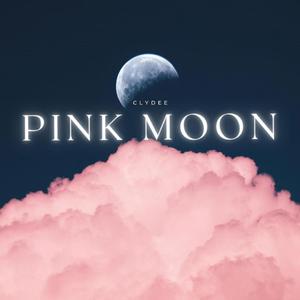 Pink Moon (Explicit)