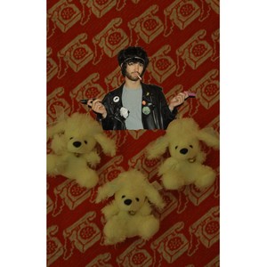 Pookie and the Poodlez