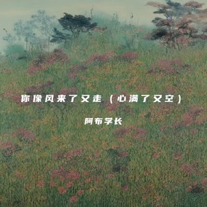 阿布学长《你像风来了又走》[MP3_LRC]_MP3免费下载