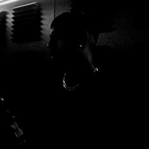 Don't want love (Explicit)