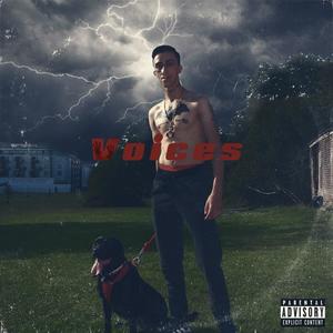 Voices (Explicit)