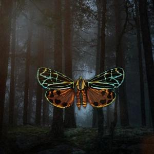 Ordinary people (Original Mix)