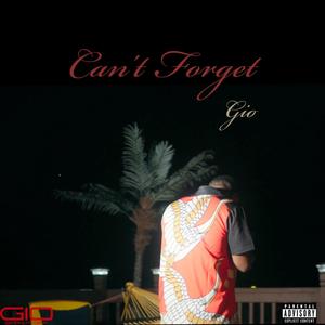 Can't Forget (Explicit)