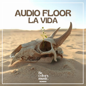 LA VIDA