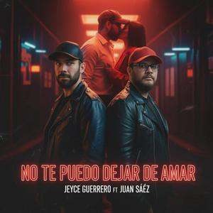 NO TE PUEDO DEJAR DE AMAR