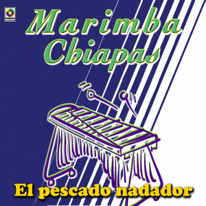 Si Si