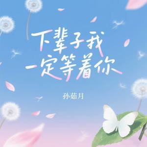 下辈子我一定等着你