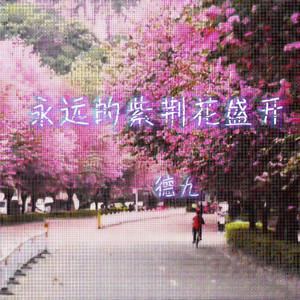 永远的紫荆花盛开