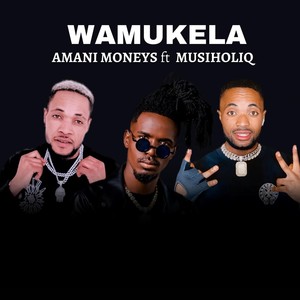 Wamukela (feat. Musiholiq) (Explicit)