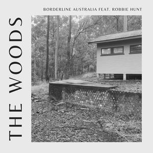 The Woods (feat. Robbie Hunt)