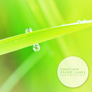 맨발로 걷는 이 시간 (This Time Walking Barefoot) (Nature Ver.)