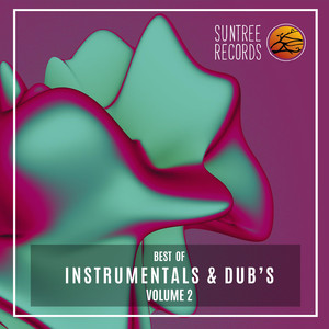 Caught Up (Steven Stone Instrumental Remix)
