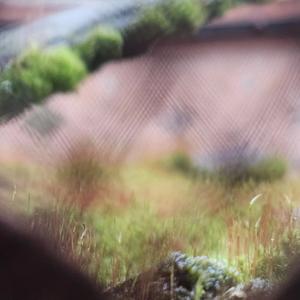 Too Many Nights (Explicit)