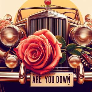 Are You Down (Explicit)
