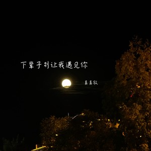 下辈子别让我遇见你