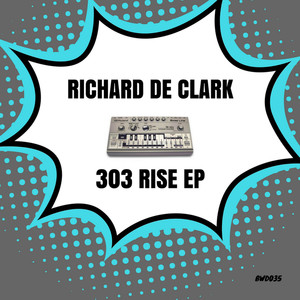 303 Rise (Adam Schwarz Remix)