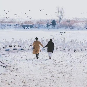 高欣 - 就这样走吧