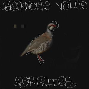 Partridge (Explicit)