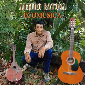 Mariposas y bromelías